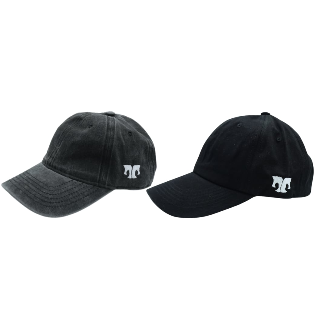 【即納】Ninety-nine Original Logo Cap