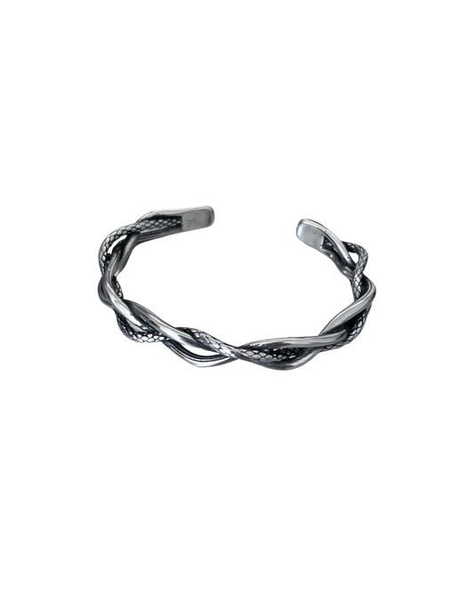 ペ*ん様 ナンバーナイン チタンバングル MORE! MORE PAIN! ペ*ん様 ペ*ん様 ナンバーナイン チタンバングル MORE! MORE PAIN! ペ*ん様